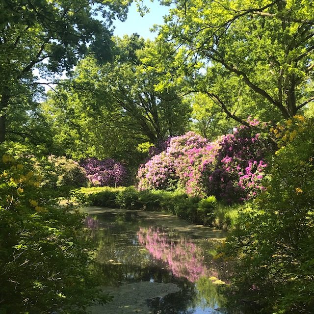 Schlosspark Lütetsburg