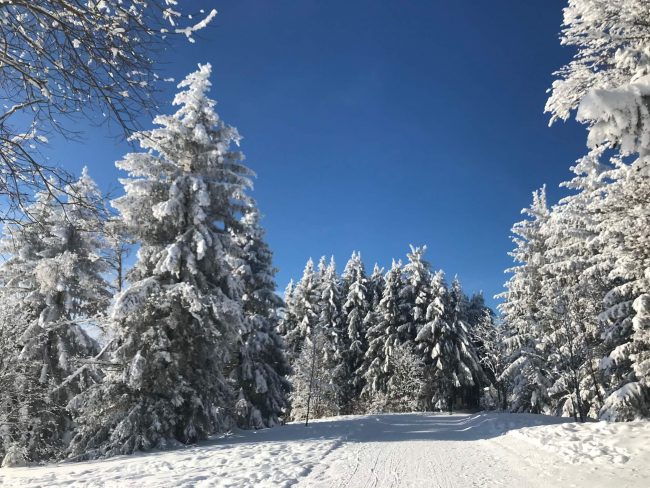 Winterlandschaft im Schwarzwald