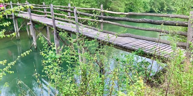 Naturlehrpfad Rheinauewald Whyl