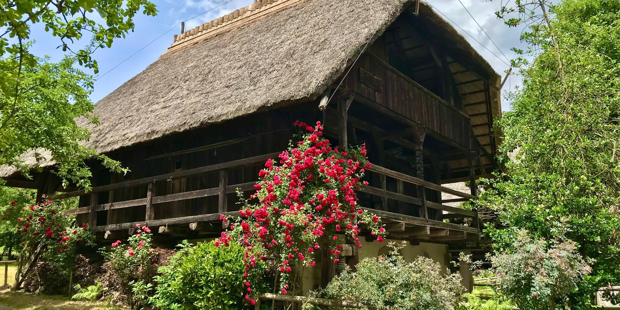 Vogtsbauernhofmuseum Gutach