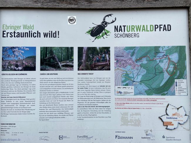 Naturlehrpfad Schönberg