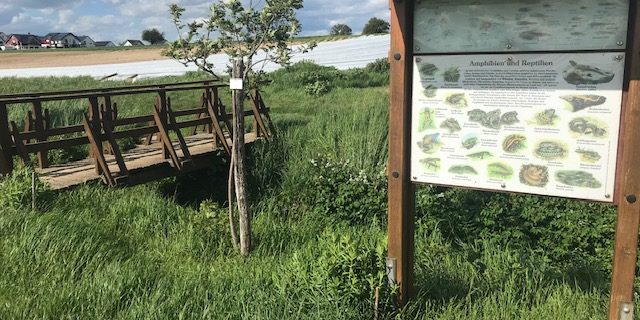 Naturlehrpfad Brunnengraben Mengen