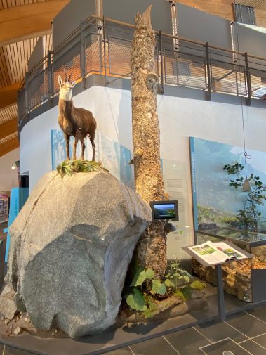 Haus der Natur Feldberg