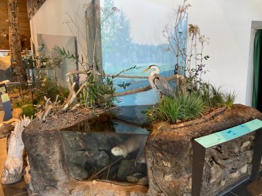 Haus der Natur Feldberg