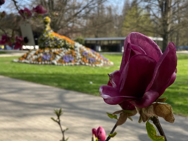 Kurpark Bad Krozingen (20)