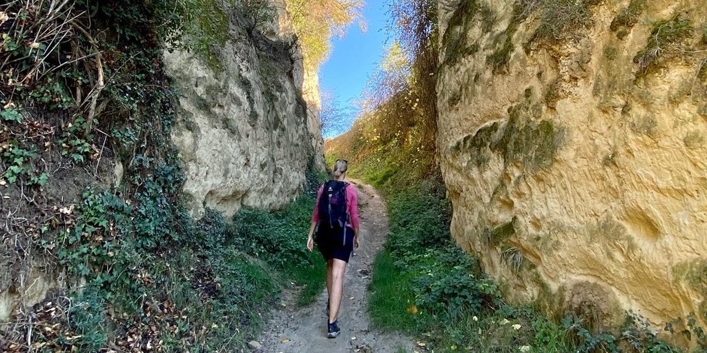 Lößhohlweg Bickensohl (2) – Kopie