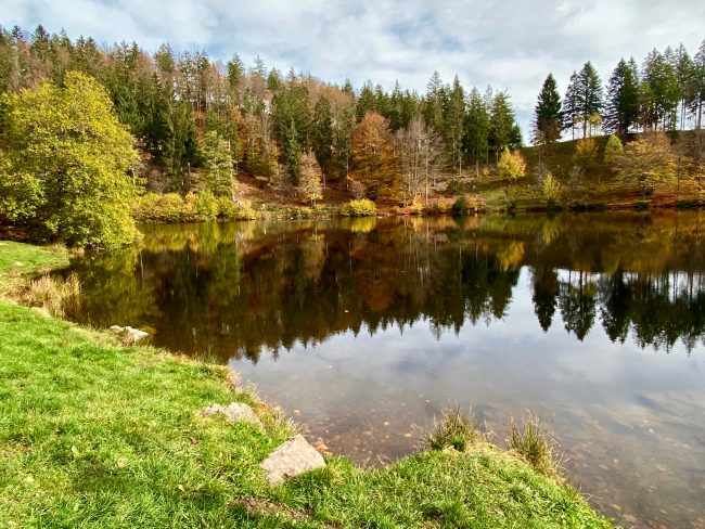 Nonnenmattweiher kleines Wiesental (3)