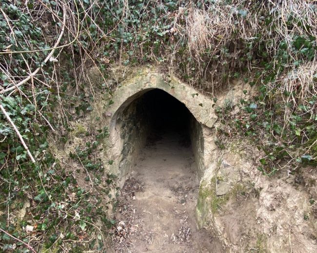 Erleweiher Rundweg Endingen (6)