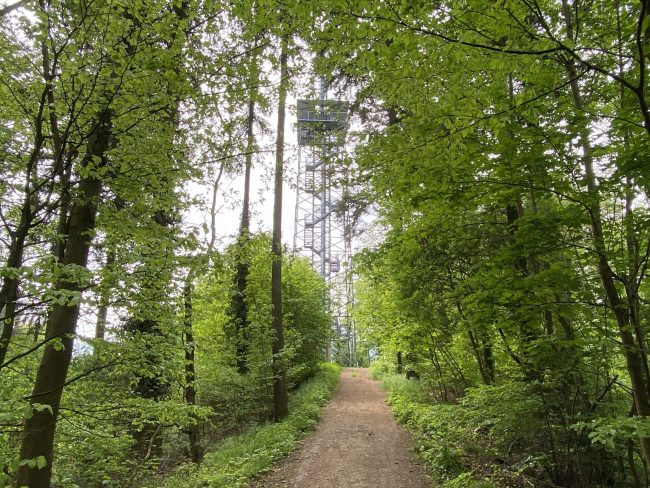 Rundwanderung Eichelspitzturm und Schelinger Matten bei Eichstetten und Schelingen (3)