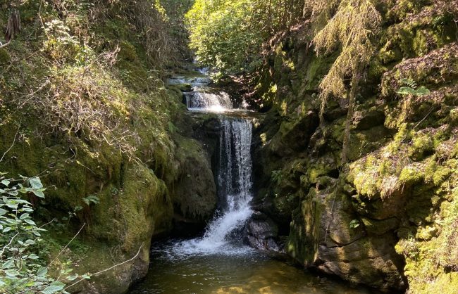Wasserfallrundweg Geroldsauer Wasserfall (9)