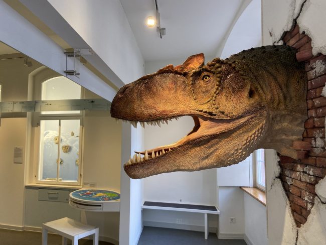 Museum für Mensch und Natur Freiburg (6)