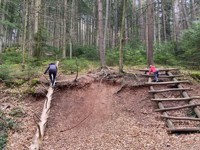 Wald- und Erlebnispfad Bächlewald Haslach (7)