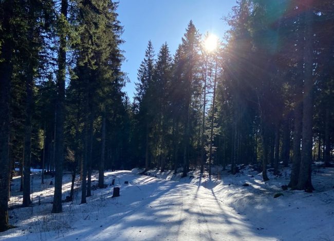 Winterwanderung Muggenbrunn