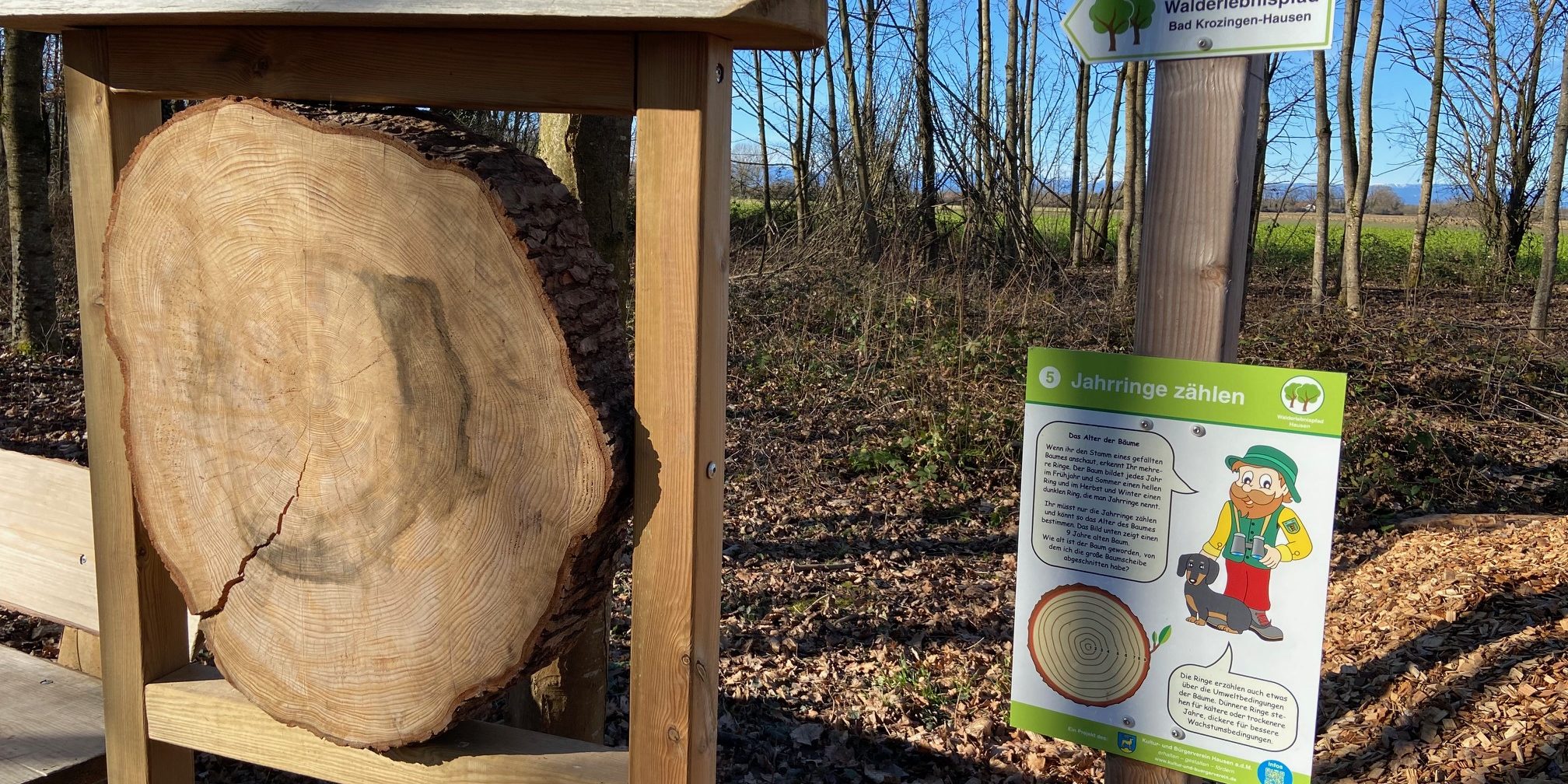 Walderlebnispfad im Hausener Wäldchen