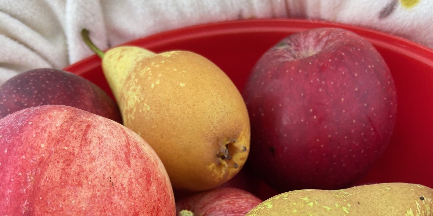 Obsthof Sehringer (1)